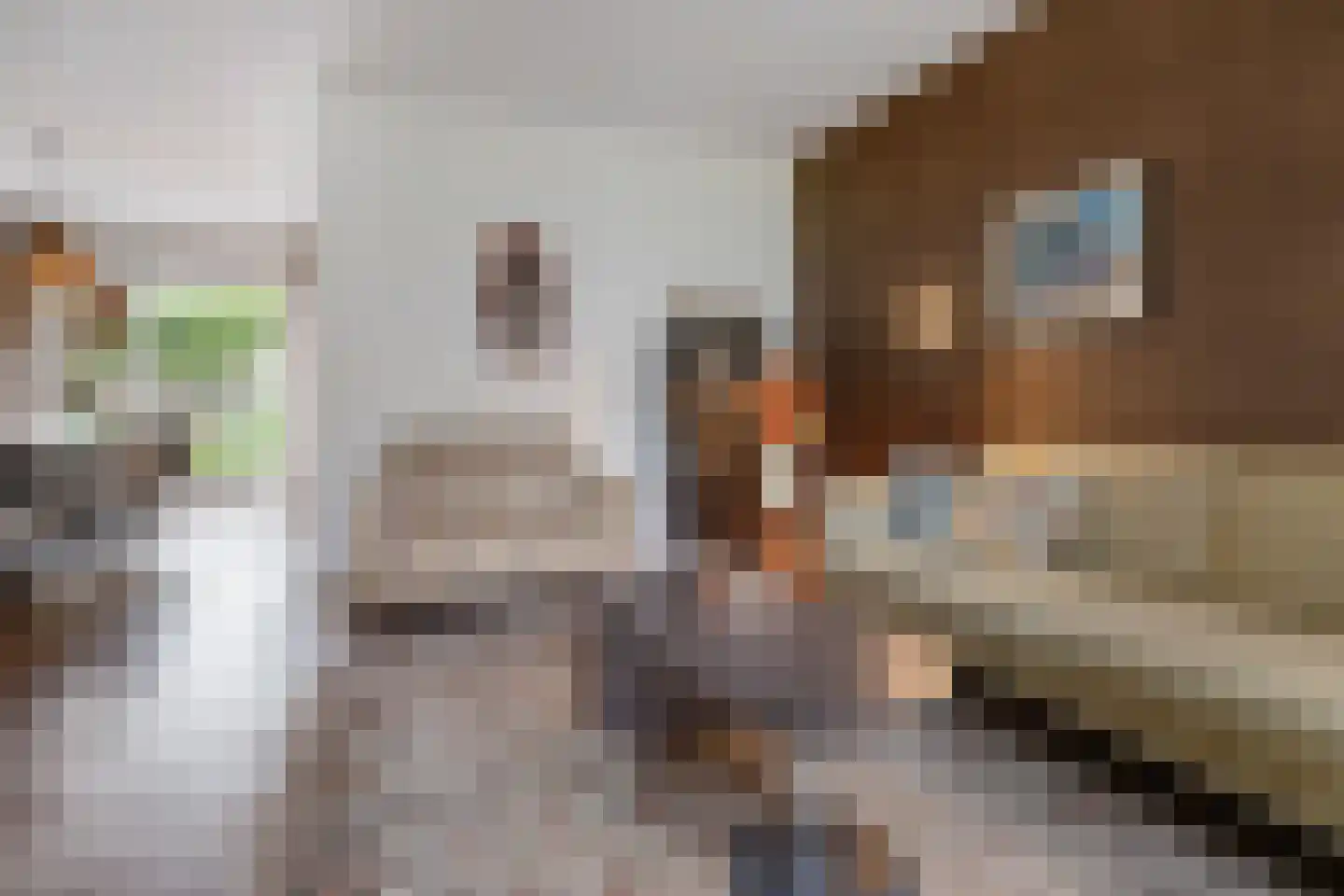 Populierenplein 13 Raalte thumbnail 5