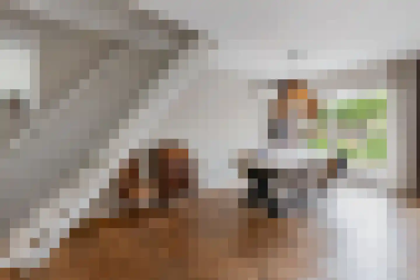 Populierenplein 13 Raalte thumbnail 8