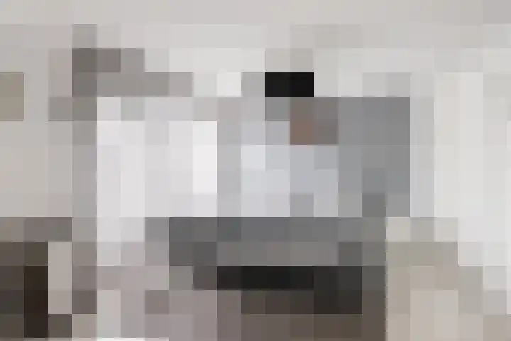 Populierenstraat 1 Kampen thumbnail 12