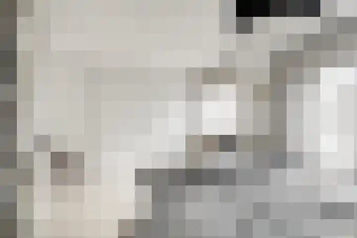 Populierenstraat 1 Kampen thumbnail 13