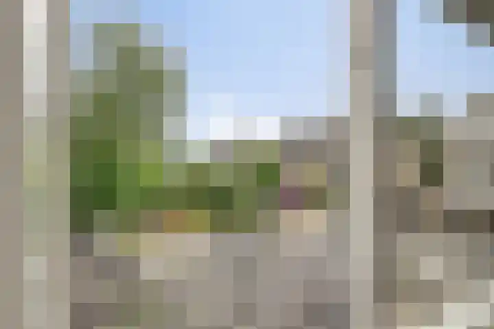 Populierenstraat 1 Kampen thumbnail 14