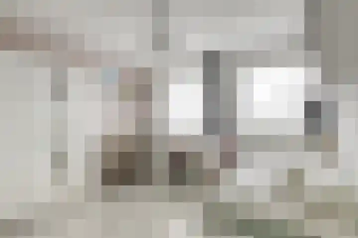 Populierenstraat 1 Kampen thumbnail 19