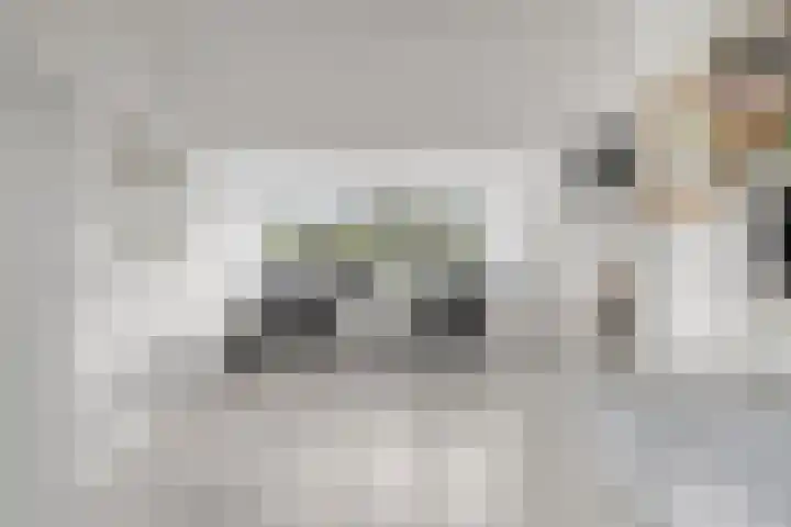 Populierenstraat 1 Kampen thumbnail 23