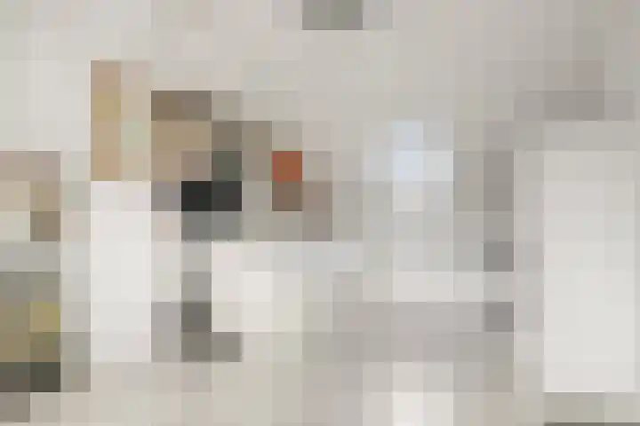 Populierenstraat 1 Kampen thumbnail 24