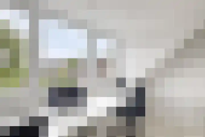 Populierenstraat 1 Kampen thumbnail 25
