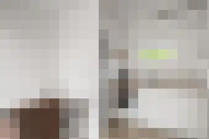 Populierenstraat 1 Kampen thumbnail 28