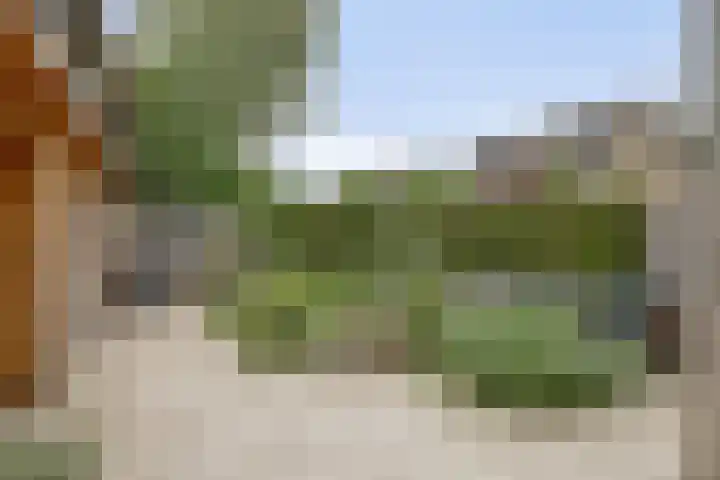 Populierenstraat 1 Kampen thumbnail 29