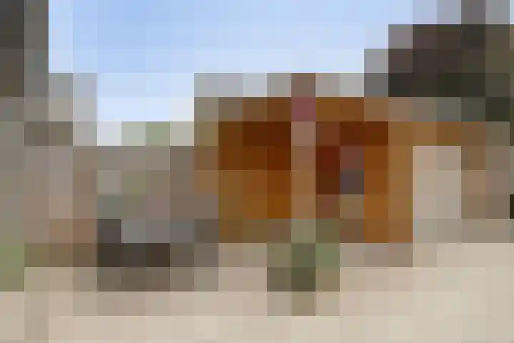 Populierenstraat 1 Kampen thumbnail 30