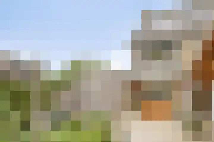 Populierenstraat 1 Kampen thumbnail 31