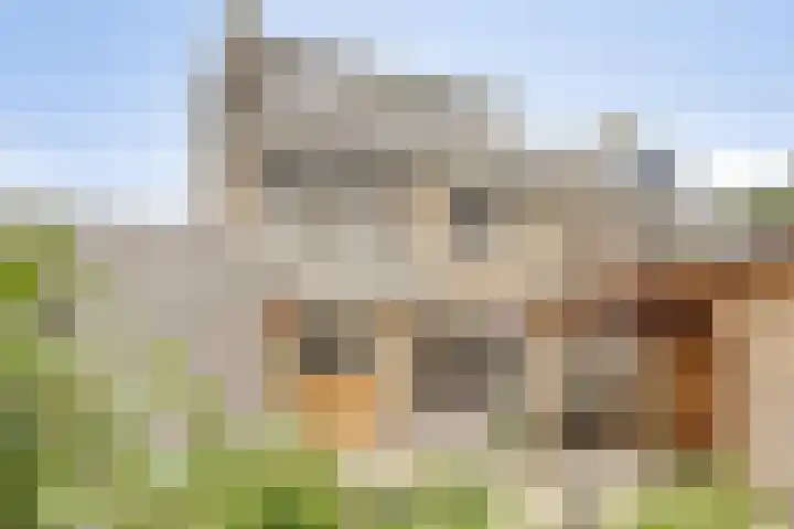 Populierenstraat 1 Kampen thumbnail 32