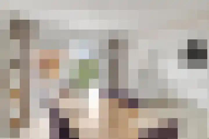 Populierenstraat 1 Kampen thumbnail 6