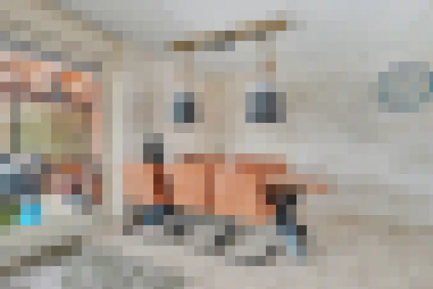 Populierenstraat 1 Winkel thumbnail 12