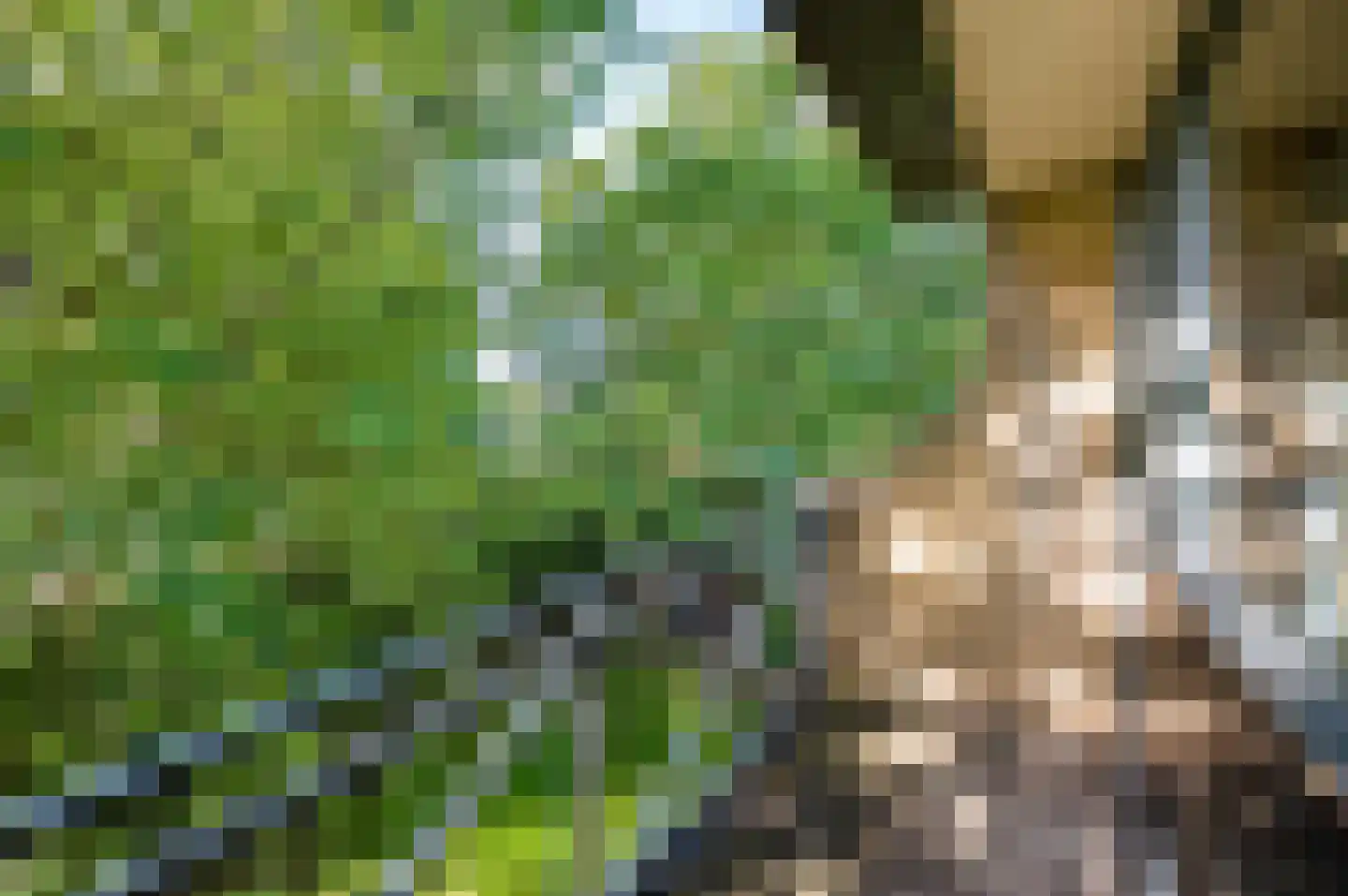 Populierenstraat 10 Boven-Leeuwen thumbnail 32