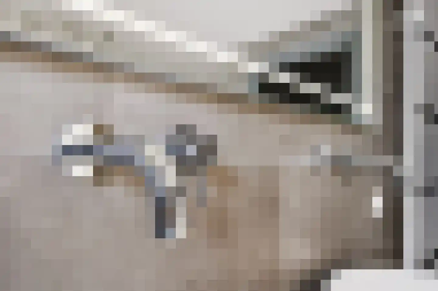 Populierenstraat 10 Boven-Leeuwen thumbnail 37