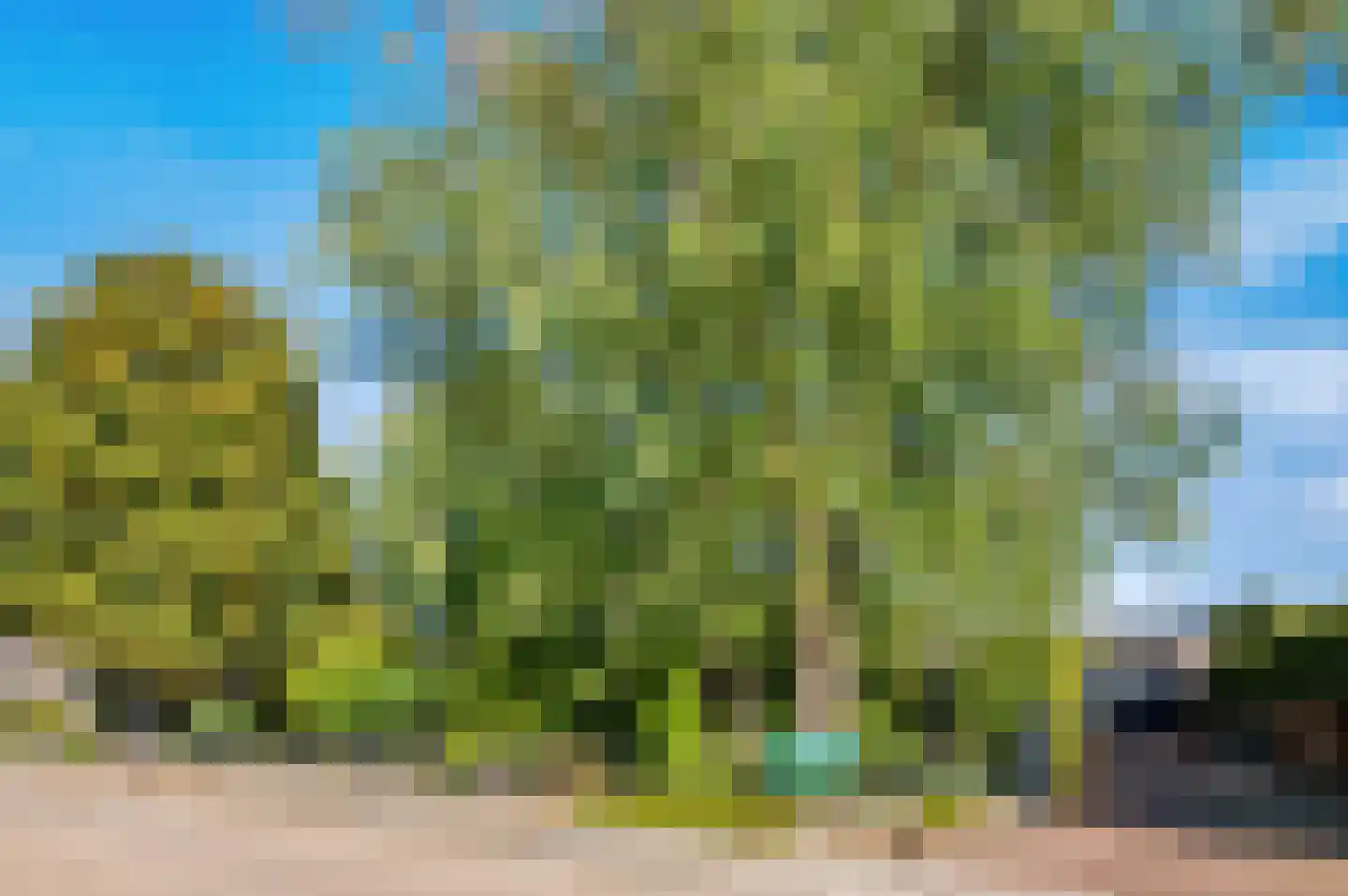 Populierenstraat 10 Boven-Leeuwen thumbnail 41