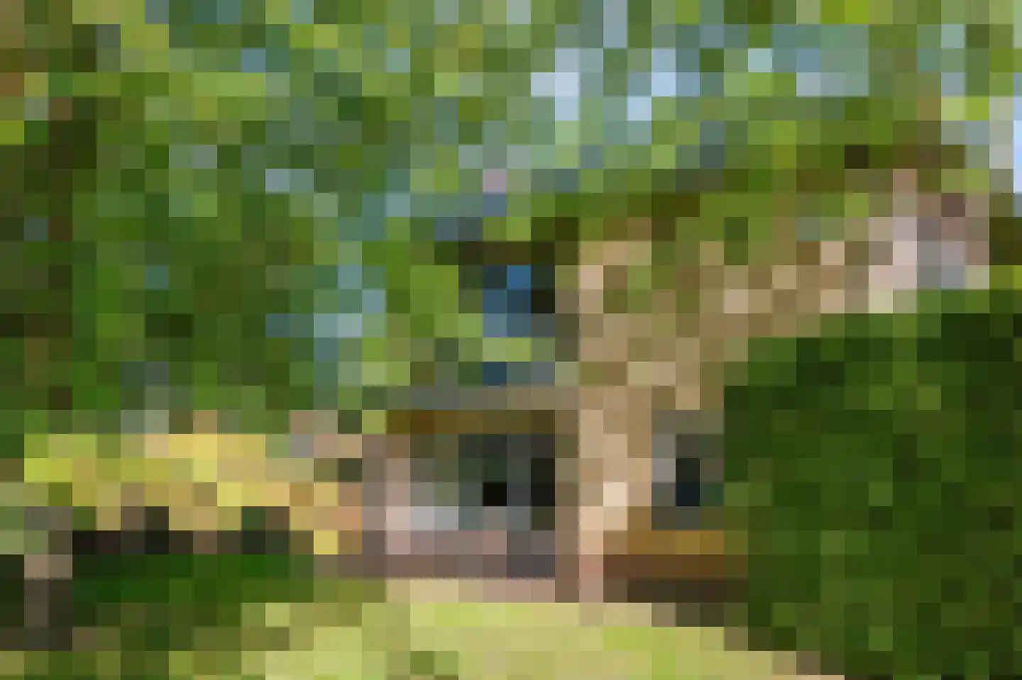 Populierenstraat 10 Boven-Leeuwen thumbnail 48