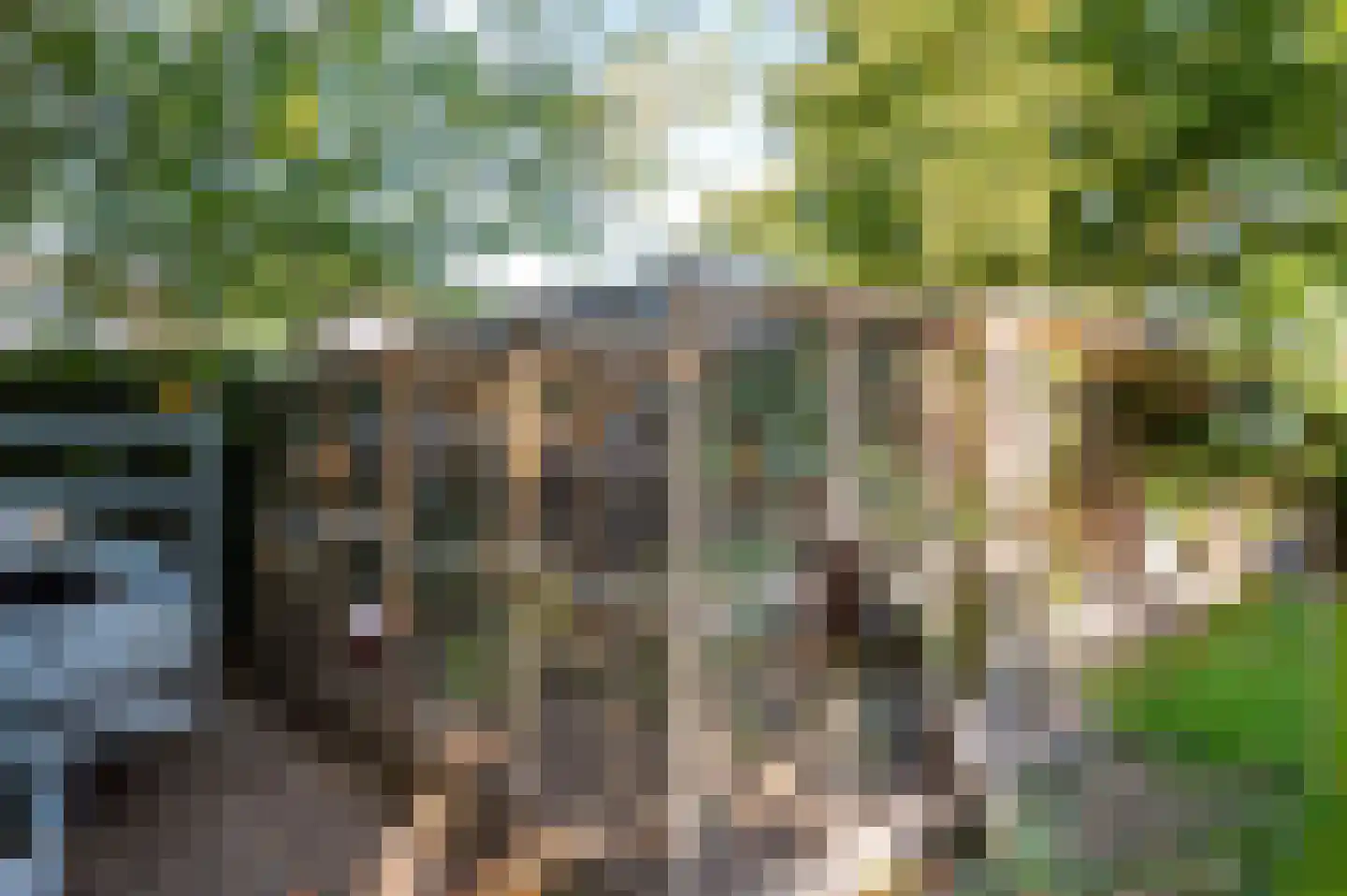 Populierenstraat 10 Boven-Leeuwen thumbnail 51