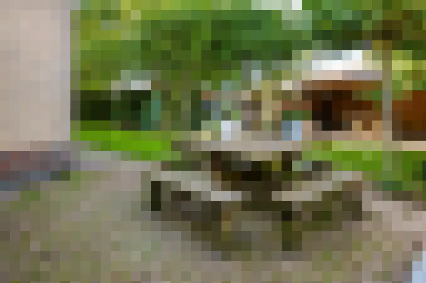 Populierenstraat 10 Boven-Leeuwen thumbnail 56