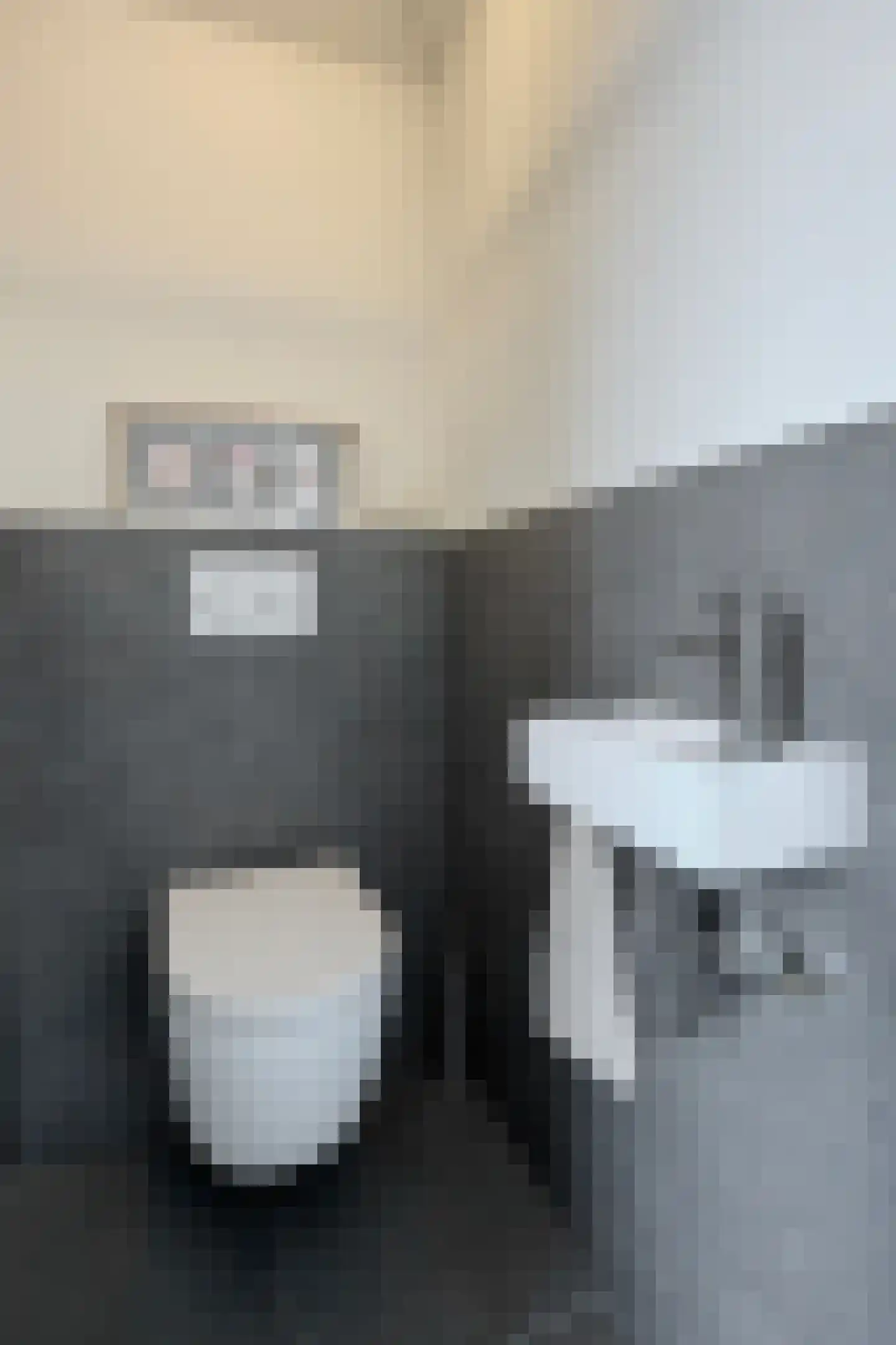 Populierenstraat 12 Fijnaart thumbnail 10