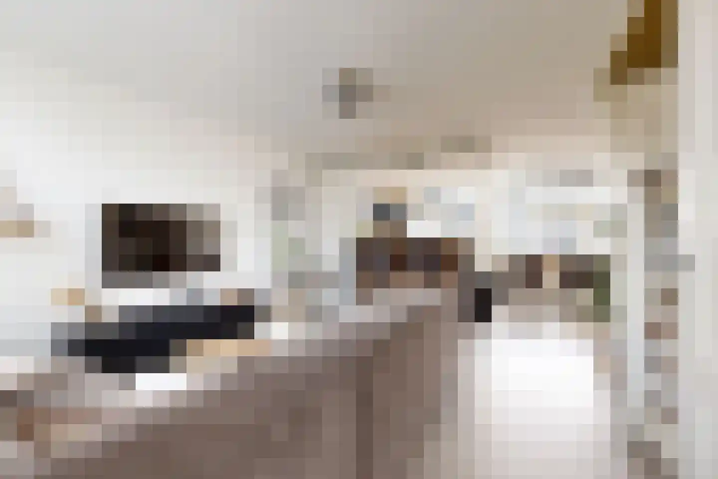 Populierenstraat 12 Fijnaart thumbnail 13