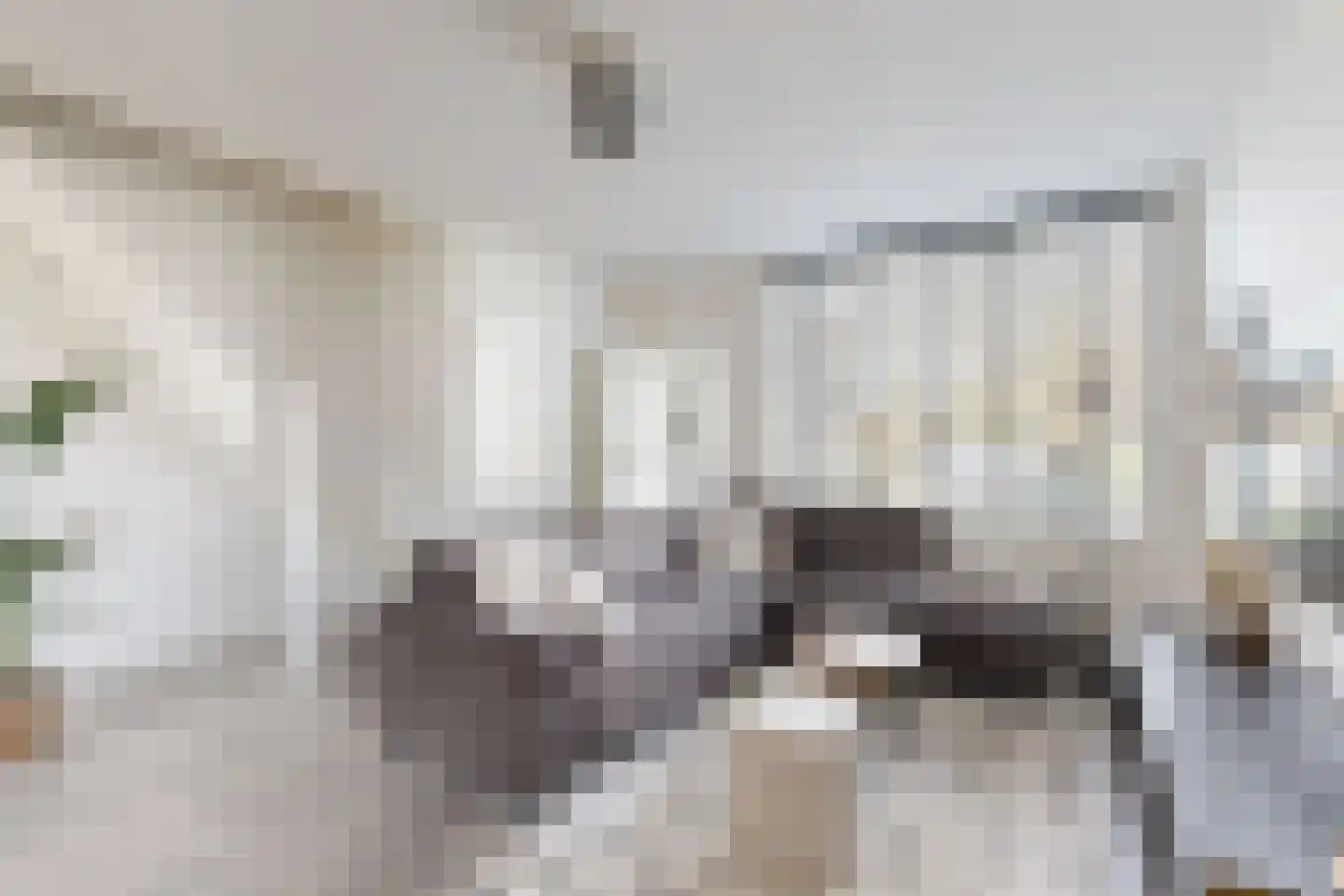 Populierenstraat 12 Fijnaart thumbnail 16