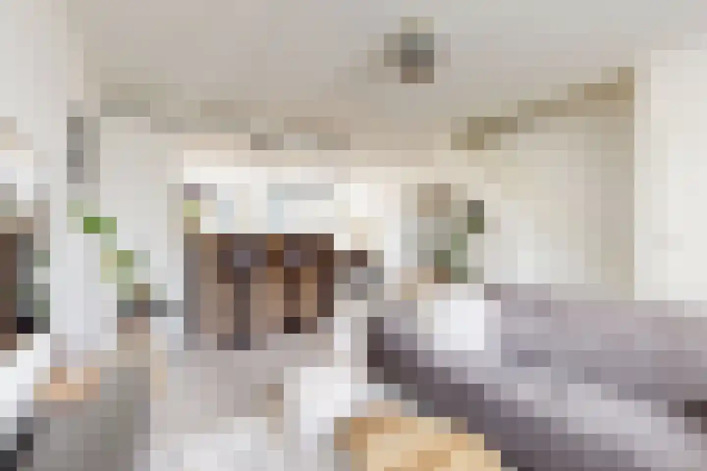 Populierenstraat 12 Fijnaart thumbnail 17