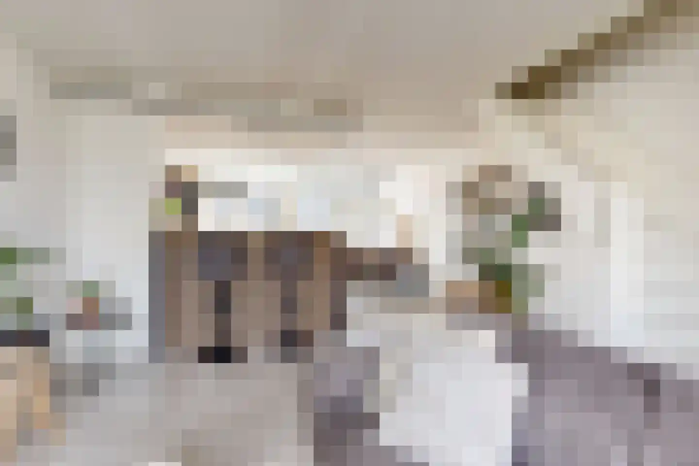 Populierenstraat 12 Fijnaart thumbnail 18