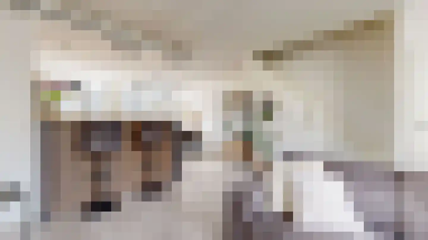 Populierenstraat 12 Fijnaart thumbnail 19