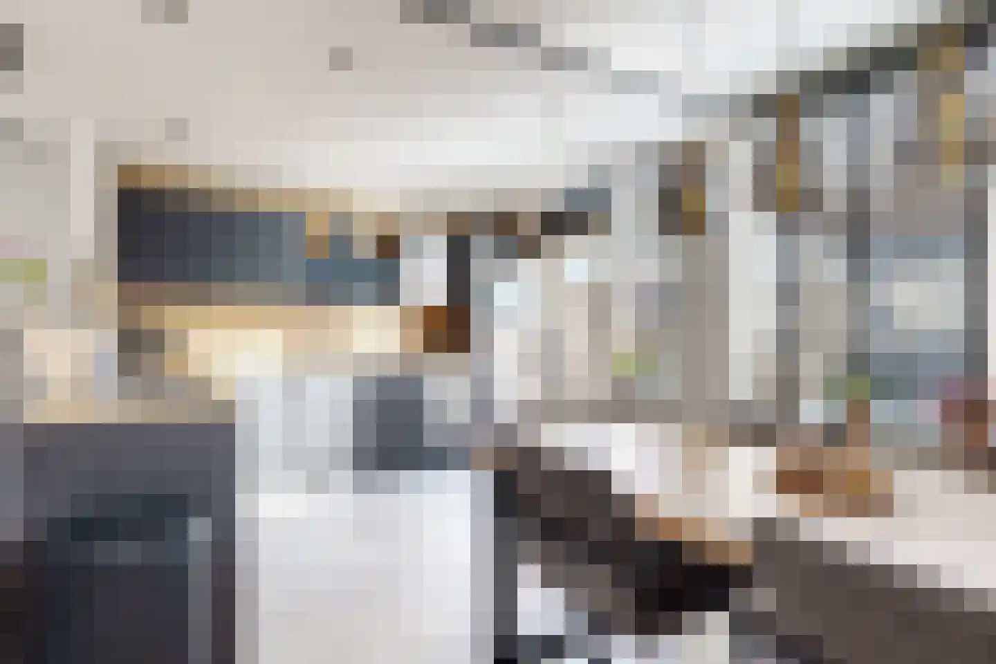 Populierenstraat 12 Fijnaart thumbnail 22