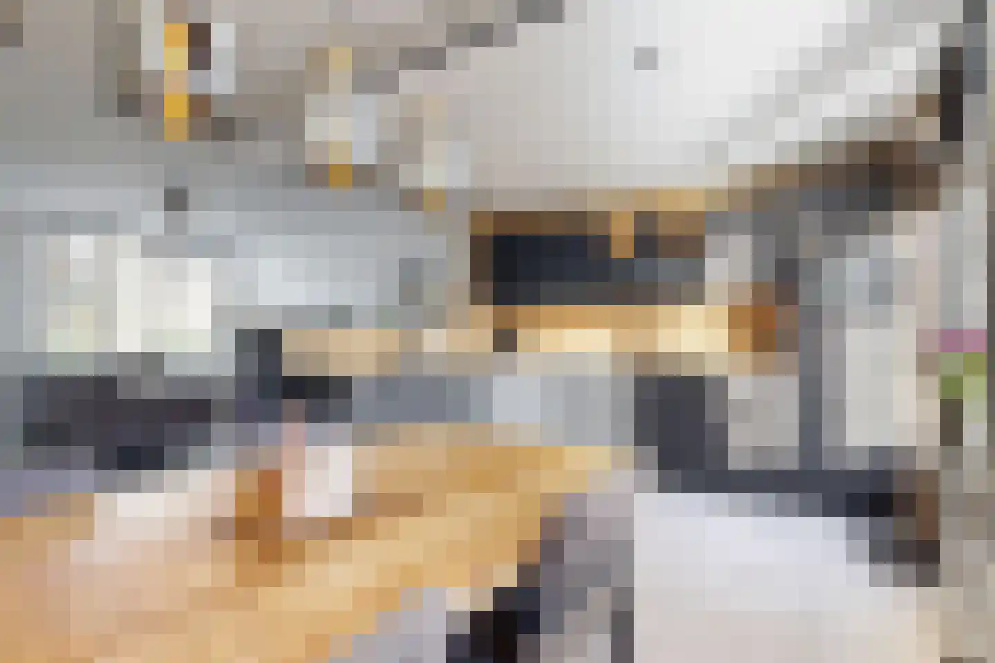 Populierenstraat 12 Fijnaart thumbnail 24