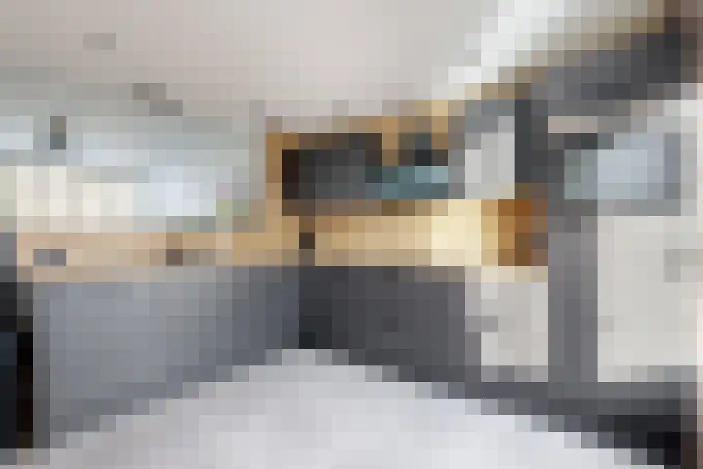 Populierenstraat 12 Fijnaart thumbnail 26