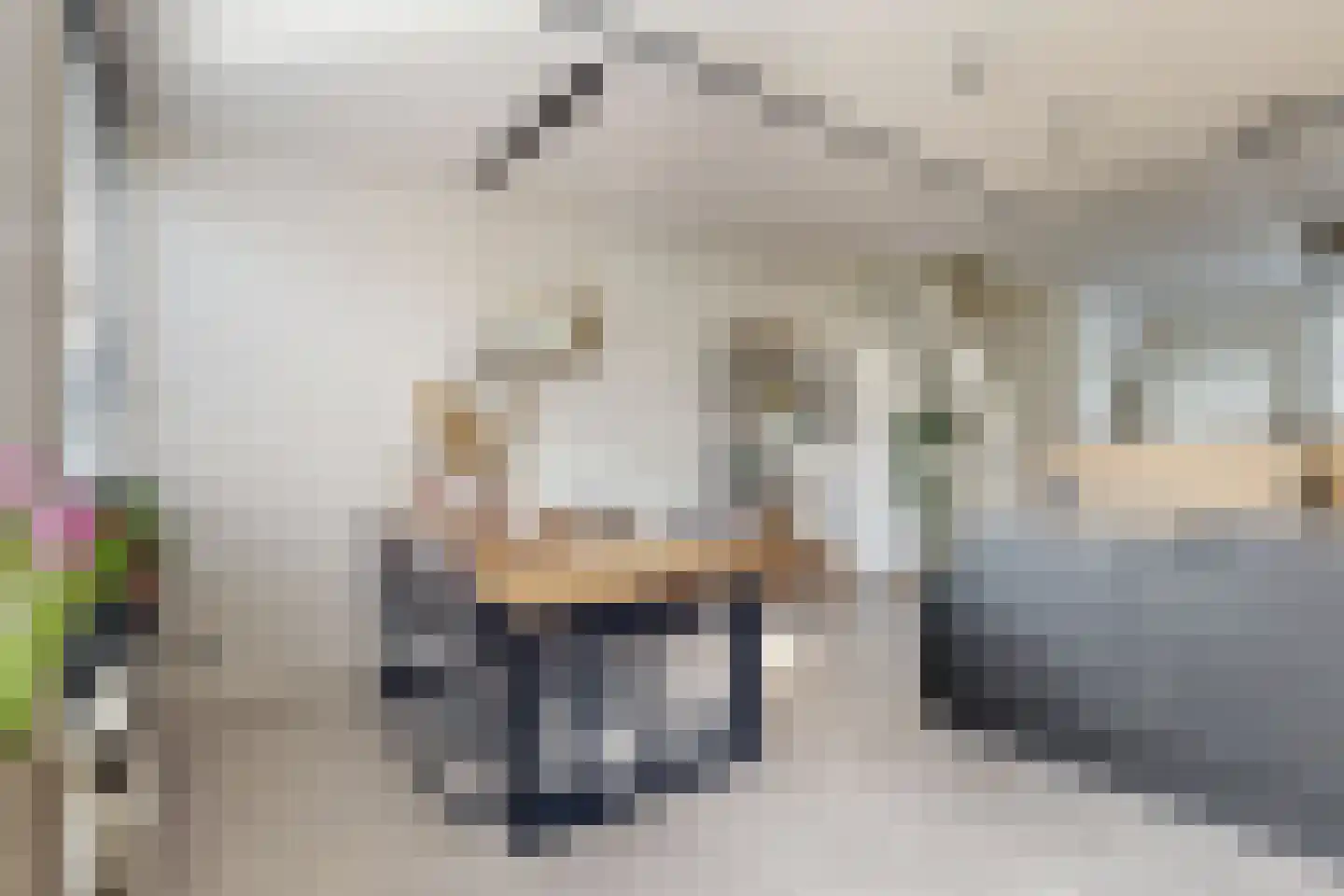 Populierenstraat 12 Fijnaart thumbnail 29