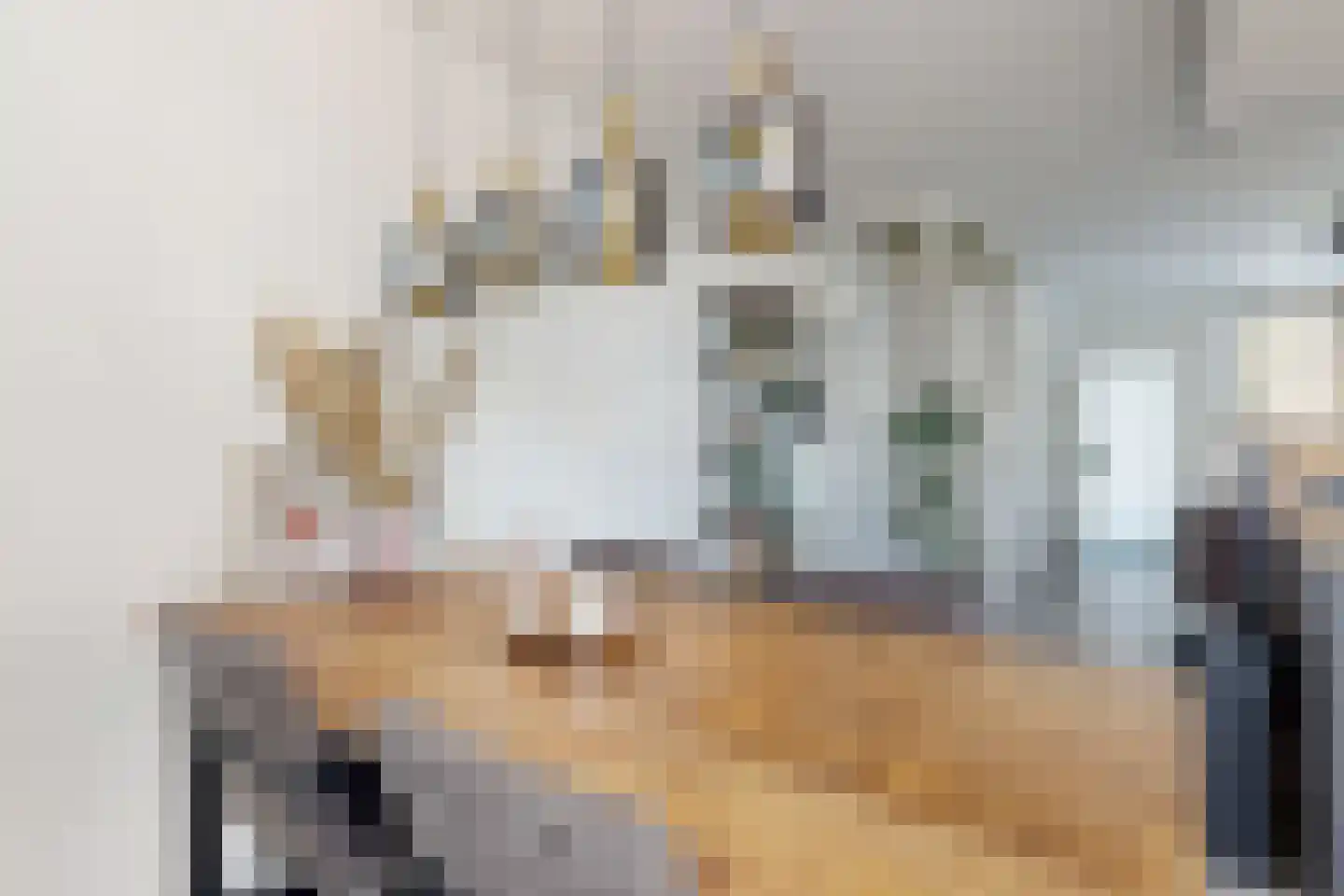 Populierenstraat 12 Fijnaart thumbnail 30