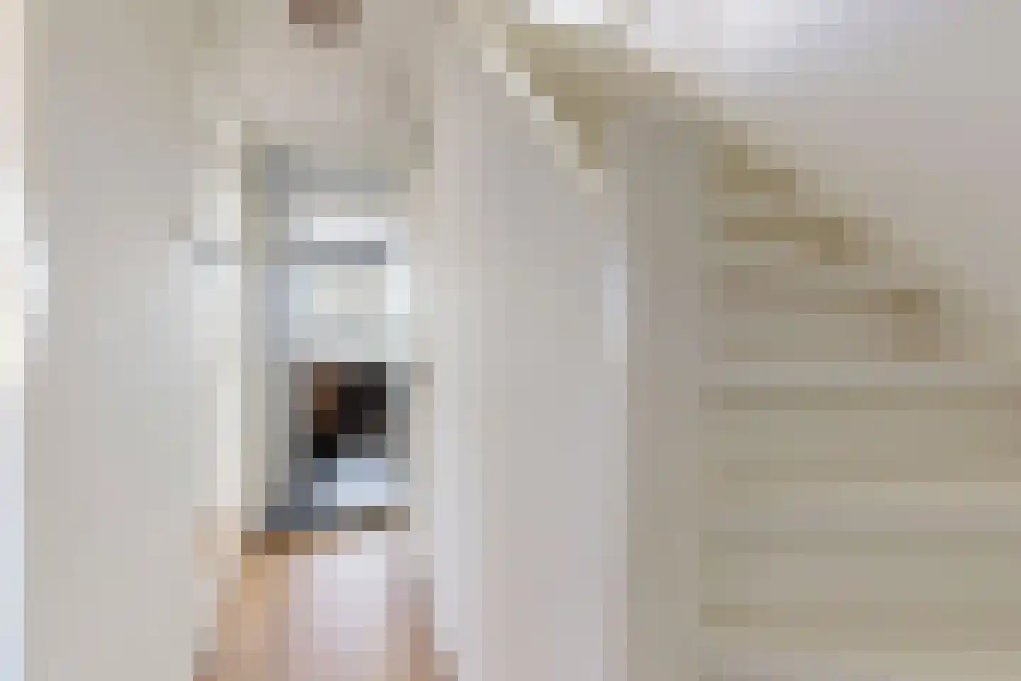 Populierenstraat 12 Fijnaart thumbnail 31
