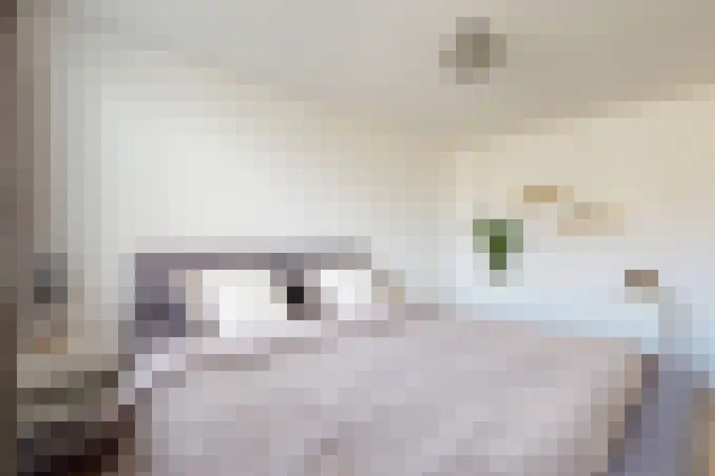 Populierenstraat 12 Fijnaart thumbnail 35