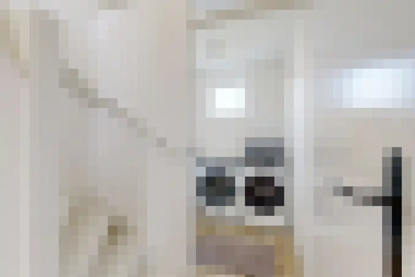 Populierenstraat 12 Fijnaart thumbnail 39