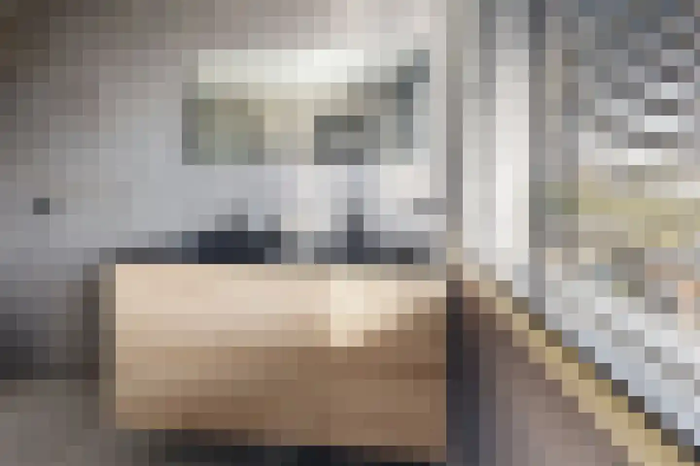 Populierenstraat 12 Fijnaart thumbnail 43