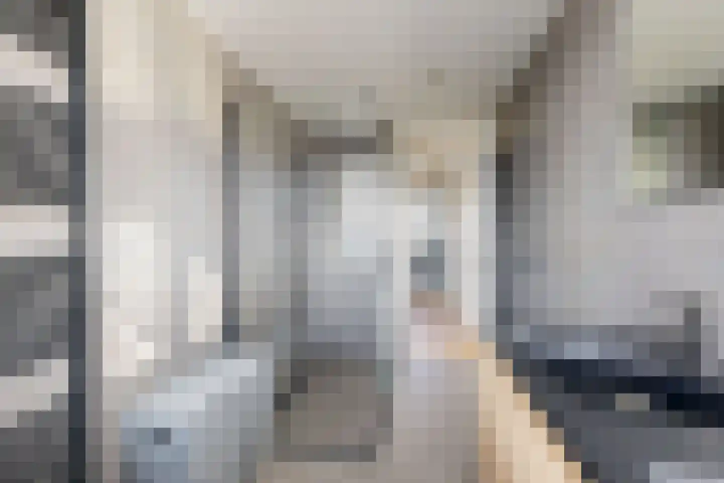 Populierenstraat 12 Fijnaart thumbnail 44