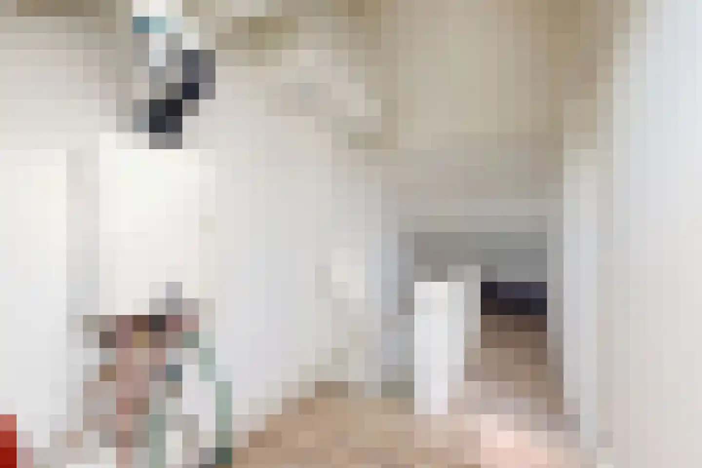 Populierenstraat 12 Fijnaart thumbnail 45