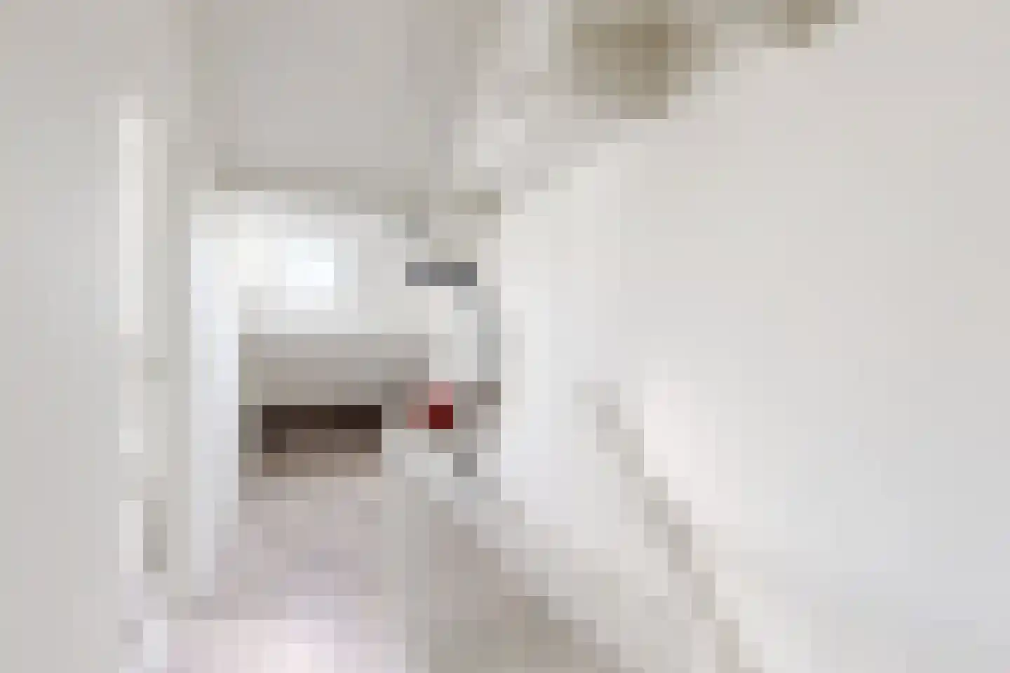 Populierenstraat 12 Fijnaart thumbnail 46