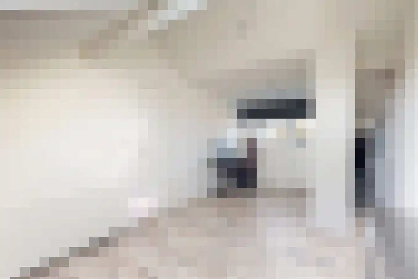 Populierenstraat 12 Fijnaart thumbnail 48