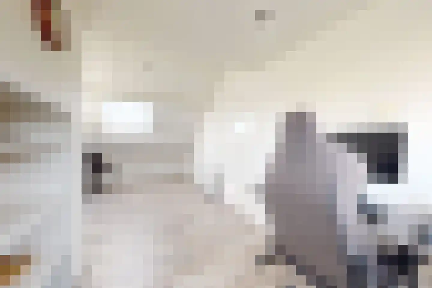 Populierenstraat 12 Fijnaart thumbnail 50