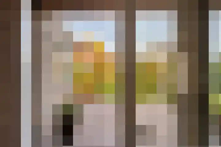Populierenstraat 12 Vinkel thumbnail 10