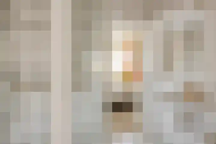 Populierenstraat 12 Vinkel thumbnail 15