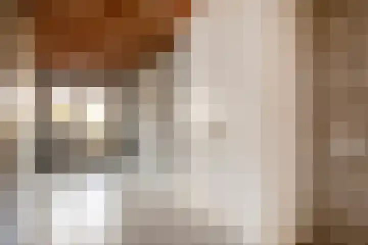 Populierenstraat 12 Vinkel thumbnail 18