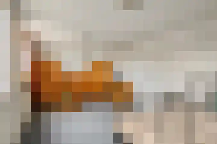 Populierenstraat 12 Vinkel thumbnail 22