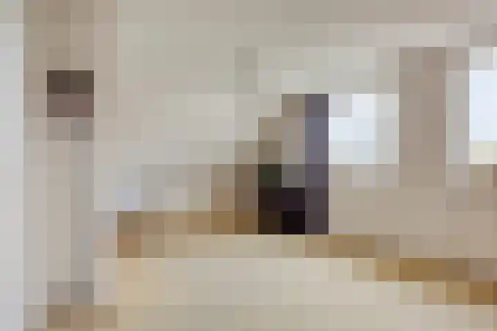 Populierenstraat 12 Vinkel thumbnail 25