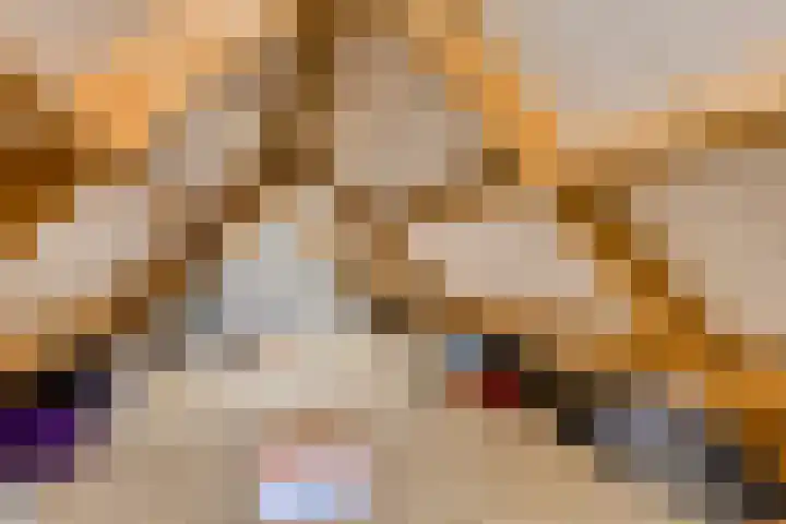 Populierenstraat 12 Vinkel thumbnail 27
