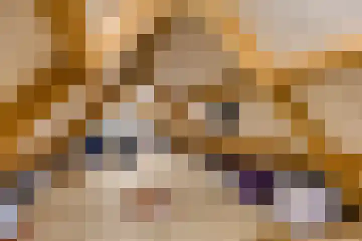Populierenstraat 12 Vinkel thumbnail 28