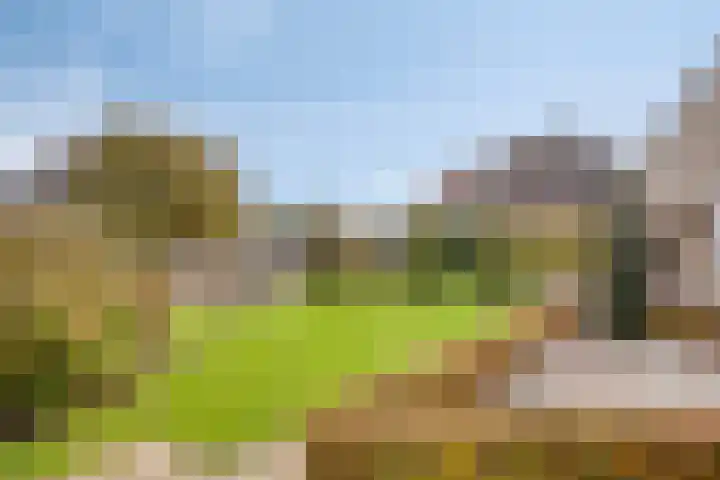 Populierenstraat 12 Vinkel thumbnail 29